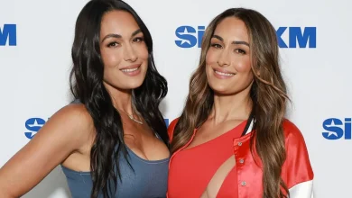 Nikki Bella Teases Brie Bella Returning to WWE
