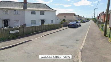 Nine-month-old baby dies after dog attack in Wales