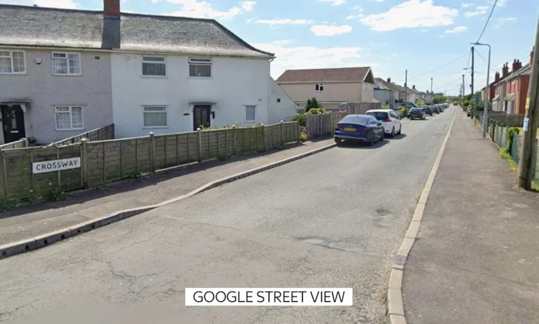 Nine-month-old baby dies after dog attack in Wales