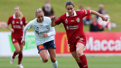 Ninja A-League history made in Adelaide-Sydney FC showdown