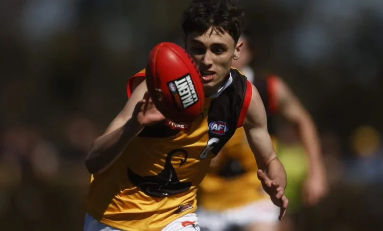 Noah Hibbins-Hargreaves: Rising Star and Future AFL Draft Prospect