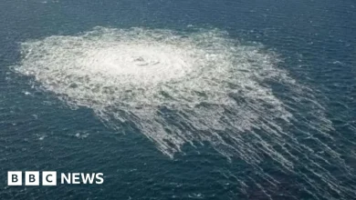 Nord Stream: Italy to extradite pipeline blast suspect to Germany