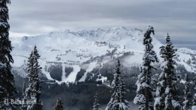 North America’s Weekly Snow Update: Report #288