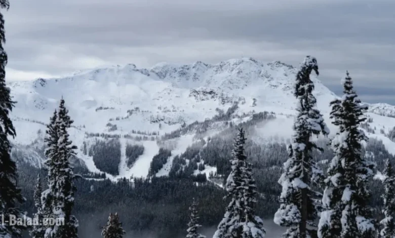 North America’s Weekly Snow Update: Report #288