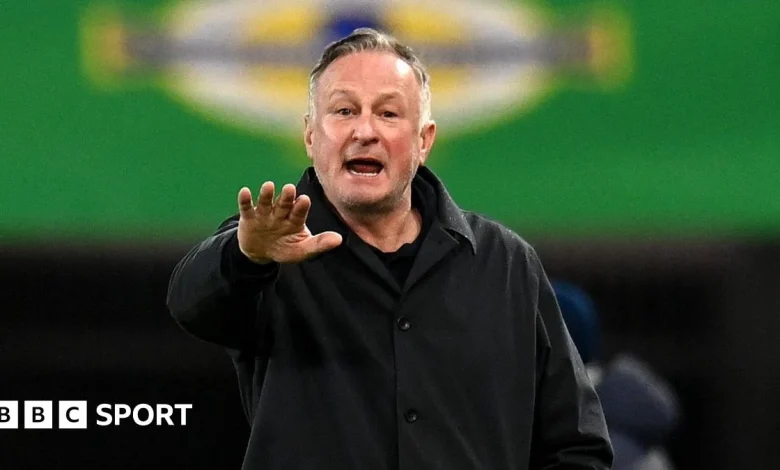 Northern Ireland 1-0 Luxembourg: NI enter play-offs with 'a lot of optimism' - Michael O'Neill