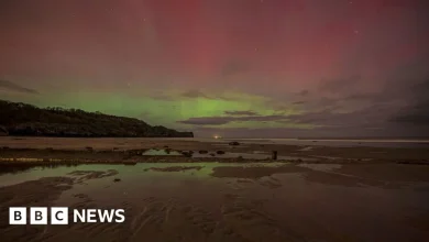 Northern Lights timelapse captures glittering display over coastline