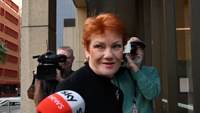 Not a ‘knitting club’: Hanson’s barrister defends One Nation leader
