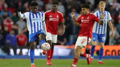 Nottingham Forest vs Brighton & Hove Albion Prediction and Betting Tips | November 30th 2025
