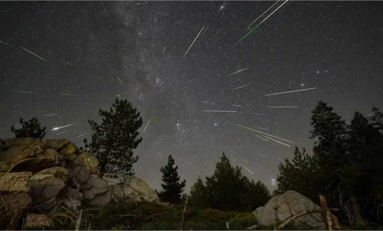 November Nights Are Dazzling With These 3 Meteor Showers. How to Watch Like a Pro