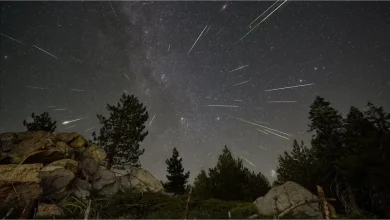 November Nights Dazzle with Three Meteor Showers. How to Watch Like a Pro