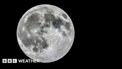 November supermoon rising next week to be biggest full Moon of 2025