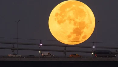 November’s Beaver moon, the next full moon, will be largest, brightest supermoon of 2025