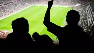 Novibet oferece odds de 50 para apostar no vencedor de Palmeiras x Fluminense