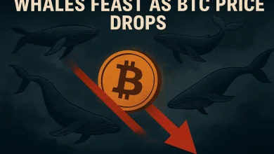Number of Bitcoin Whales Grows as Price Falls, Bitcoin Hyper Set to Rise