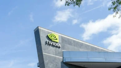 Nvidia Shares May Plunge After Results (NASDAQ:NVDA)