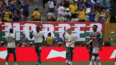 O melhor guia para chegar ao Allianz Parque e assistir Palmeiras x Fluminense