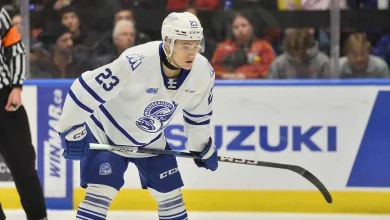 OHL suspends Luke Dragusica for rest of season after slash to head