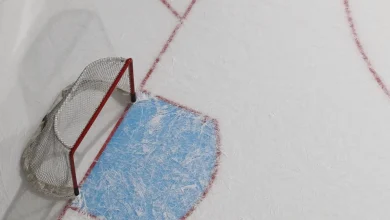 OHL suspends Steelheads’ Luke Dragusica for slash to head vs. Generals - The Athletic