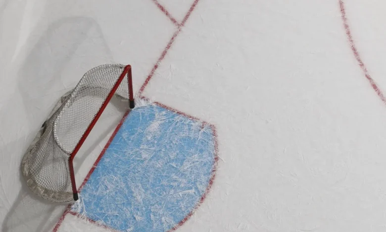 OHL suspends Steelheads’ Luke Dragusica for slash to head vs. Generals - The Athletic