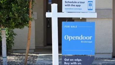 OPEN Earnings: Opendoor Stock Falls amid Weak Earnings Figures