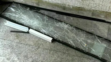 Occupazioni a Roma, il primo bilancio: dal Virgilio al Pacinotti-Archimede, la protesta è già costata 200mila euro