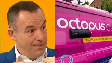 Octopus Energy backs Martin Lewis 'rule' to cut bills and keep heat in