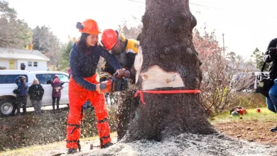 Oh Canada: Boston Mayor Wu’s family holiday trip to Nova Scotia cost taxpayers $5K