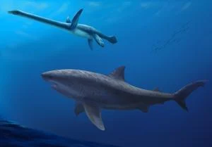 Oldest modern shark mega-predator swam off Australia during the age of dinosaurs