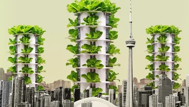 One Great Idea to make Toronto a better place to live? Here are 20 of the best for you to vote on