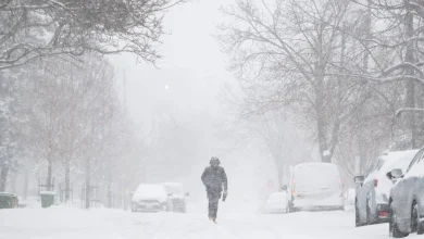 Ontario storm to linger into weekend with 60 cm of snow possible in some areas
