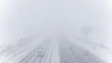 Ontario winter wallop dumps up to 70 centimetres of snow in some parts