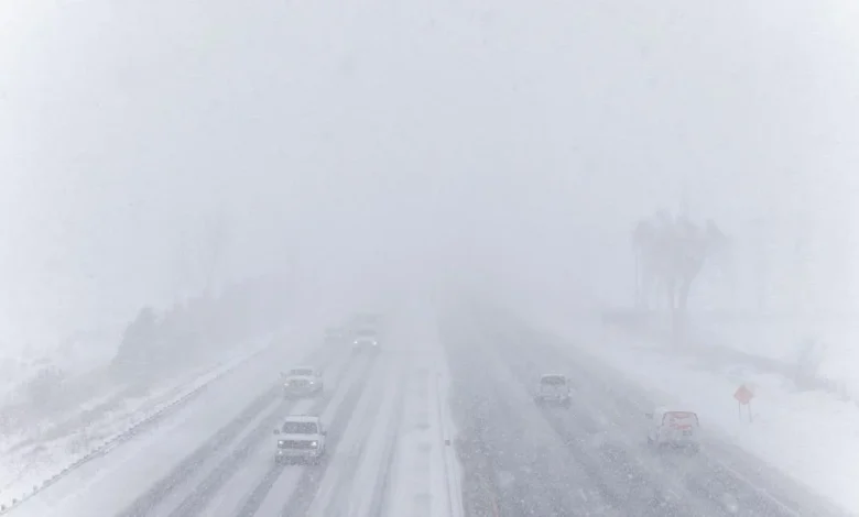 Ontario winter wallop dumps up to 70 centimetres of snow in some parts