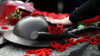 Ontario woman named national Silver Cross Mother