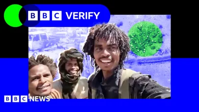 'Our job is only killing' - how Sudan's brutal militia carried out a massacre in el-Fasher