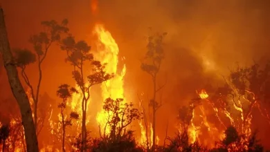 Out of control fire threatens homes through Merriwa Rivery Valley: Act now!