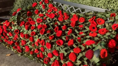 Outlook for Remembrance Sunday