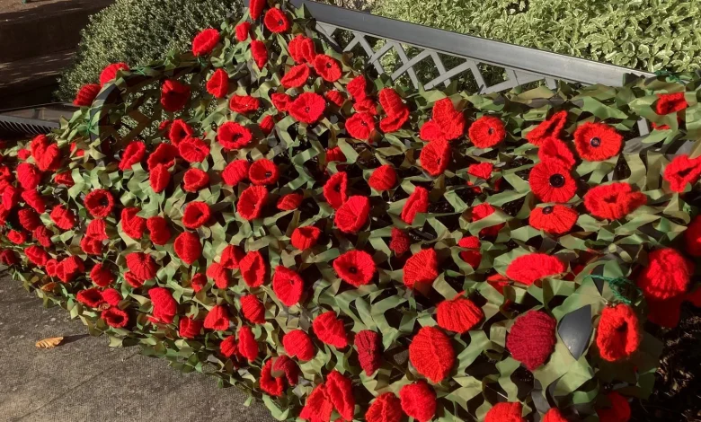 Outlook for Remembrance Sunday