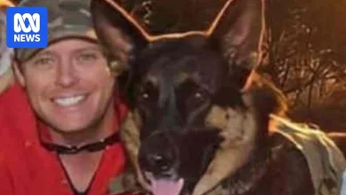 Owner charged over allegedly abandoning dog Arnie after claiming he was stolen