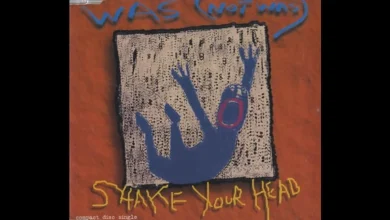 Ozzy Osbourne Collaboration Song Was Rejected By Madonna