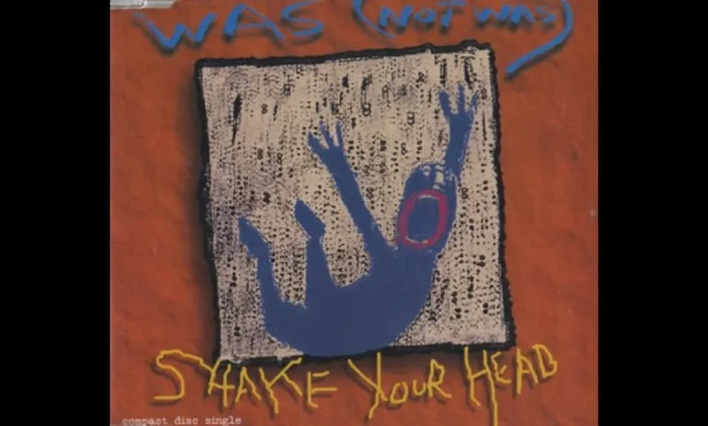 Ozzy Osbourne Collaboration Song Was Rejected By Madonna