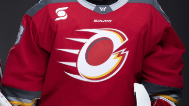 PWHL to Consider Every Option for Ottawa Charge in Arena Crisis