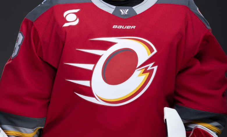 PWHL to Consider Every Option for Ottawa Charge in Arena Crisis