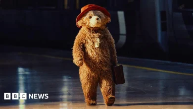 Paddington the Musical reveals 'all-singing, all-dancing' star