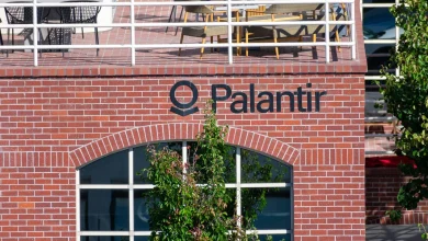 Palantir: The AI Reality Check Investors Can't Ignore