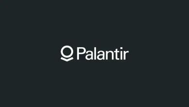 Palantir's Q3 Results Likely to Be Major Step in 'Right Direction' in AI Revolution, Wedbush Says
