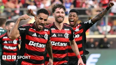 Palmeiras vs Flamengo LIVE: Watch Copa Libertadores final score, stream & updates