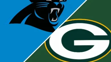 Panthers 16-13 Packers (3 Nov, 2025) Game Recap