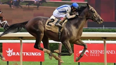 Parchment Party First U.S.-Trained Melbourne Cup Runner