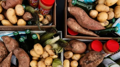 Partial SNAP benefits will be more than previously estimated, Trump official says