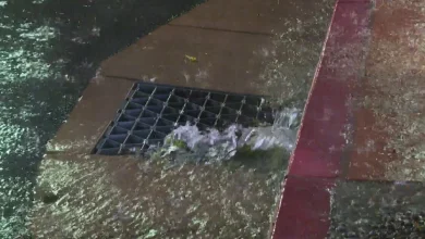 Paso Robles residents reminded to keep storm drains clear ahead of future storms